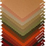 Mr. Omelette Color Options