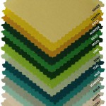 Mr. Omelette Color Options